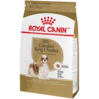 Royal Canin Cavaler King Charles Adult в зоомагазине Лепшы Сябар