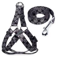 Комплект шлейка и поводок нейлоновый "Графит"  в зоомагазине Лепшы Сябар